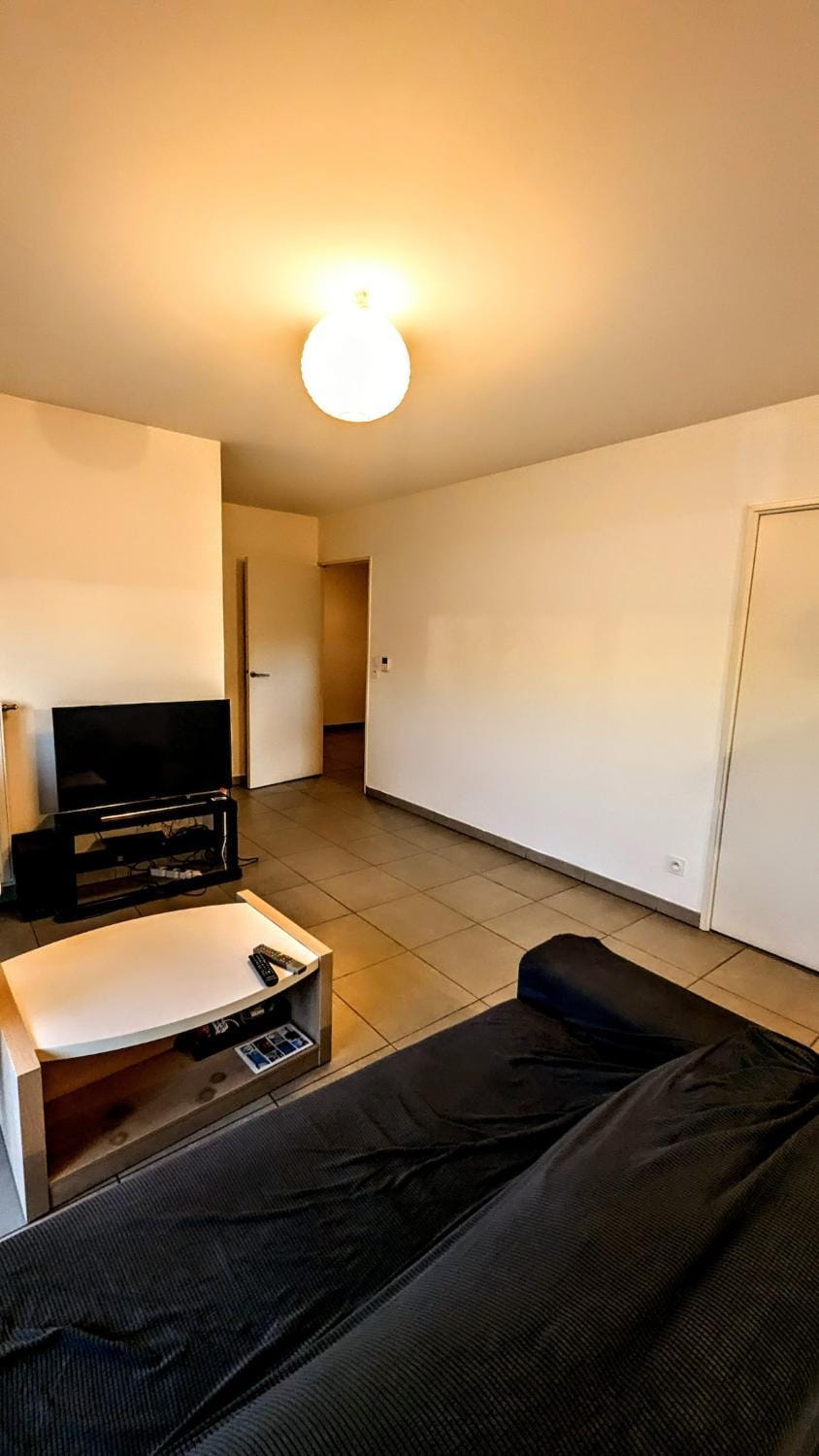 Appartement Lyon 7 Apartment in Lyon