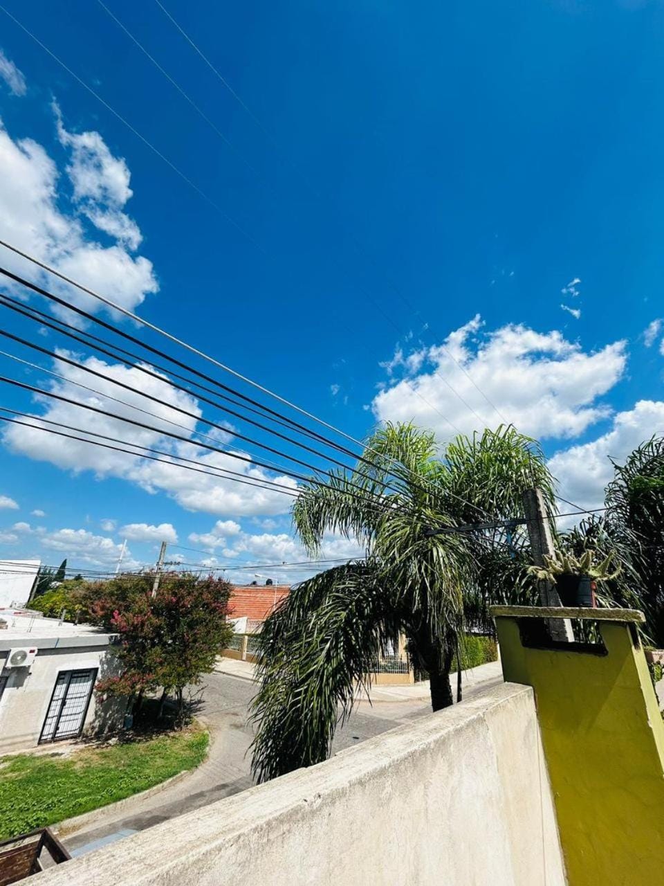 Spring, Day, Neighbourhood, Street view