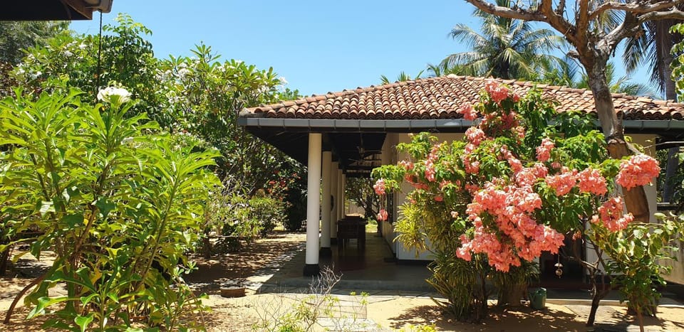 Property building, Patio, Facade/entrance, Garden, Balcony/Terrace