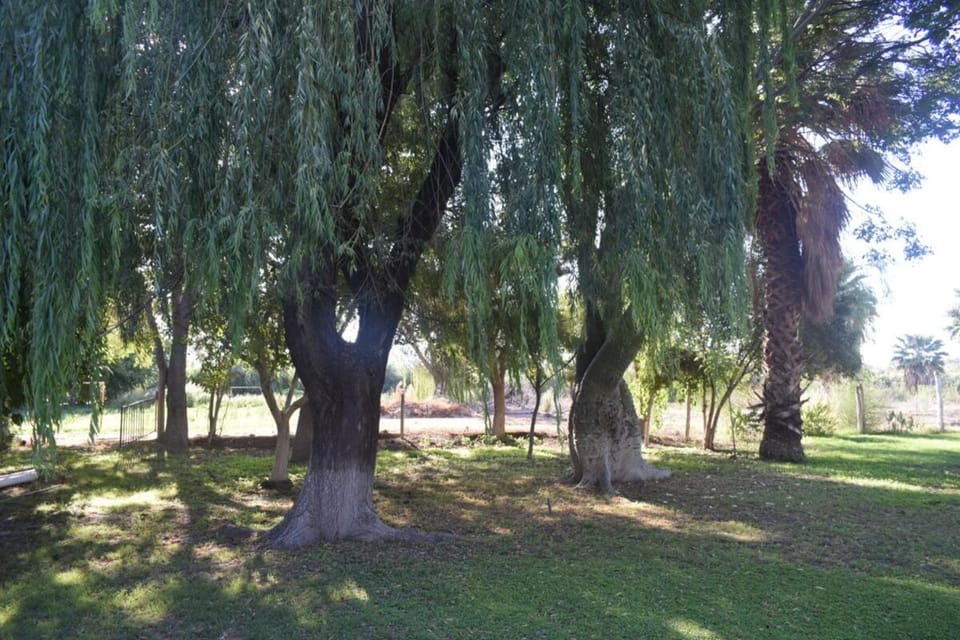 Casa quinta soñada House in San Juan Province, Argentina