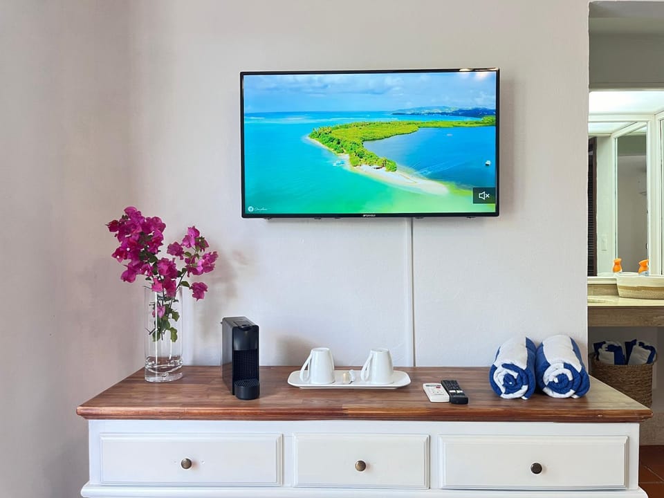 TV and multimedia