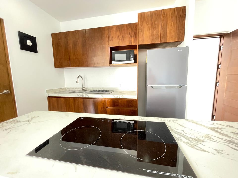 Kitchen or kitchenette, oven, stove