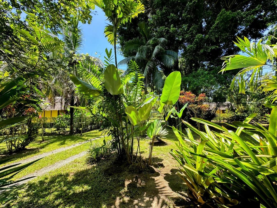 Alby Lodge Cahuita Nature lodge in Cahuita