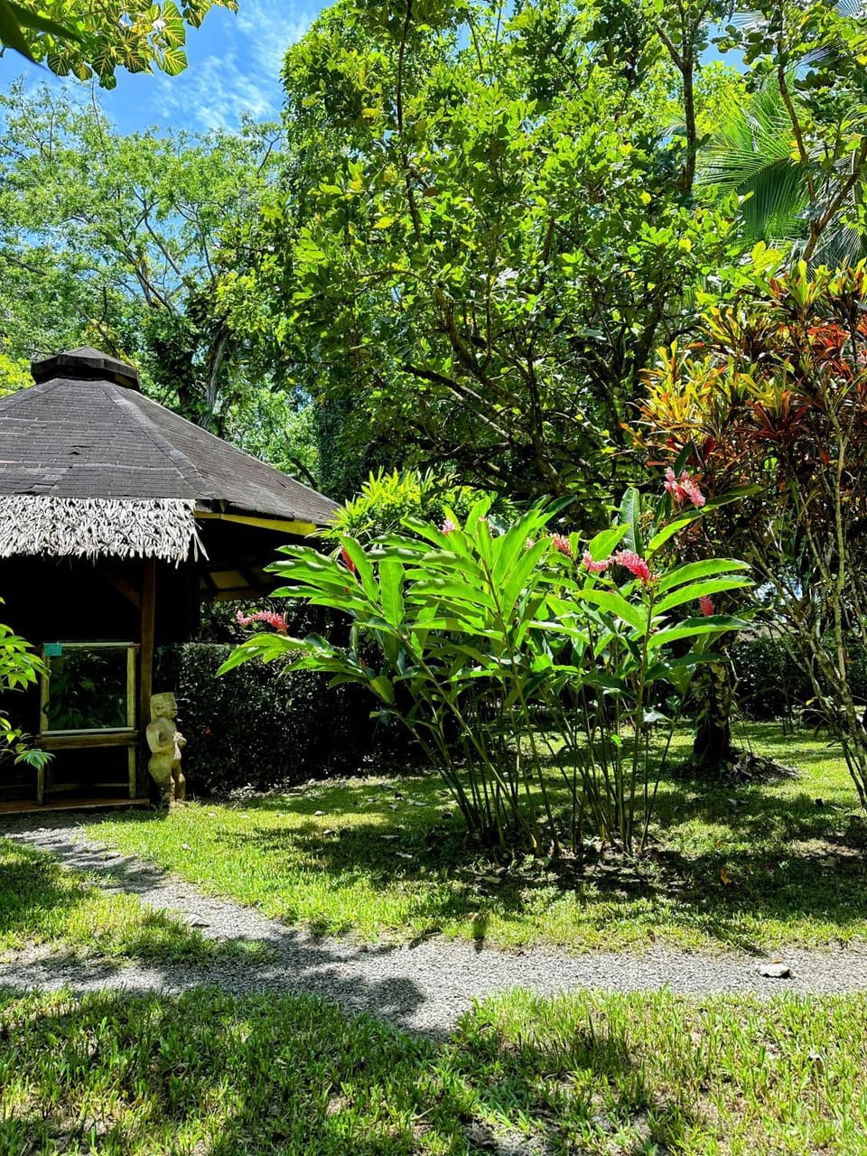 Alby Lodge Cahuita Nature lodge in Cahuita