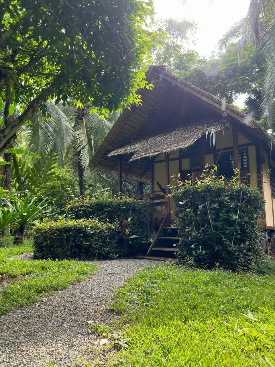 Property building, Garden, Garden view