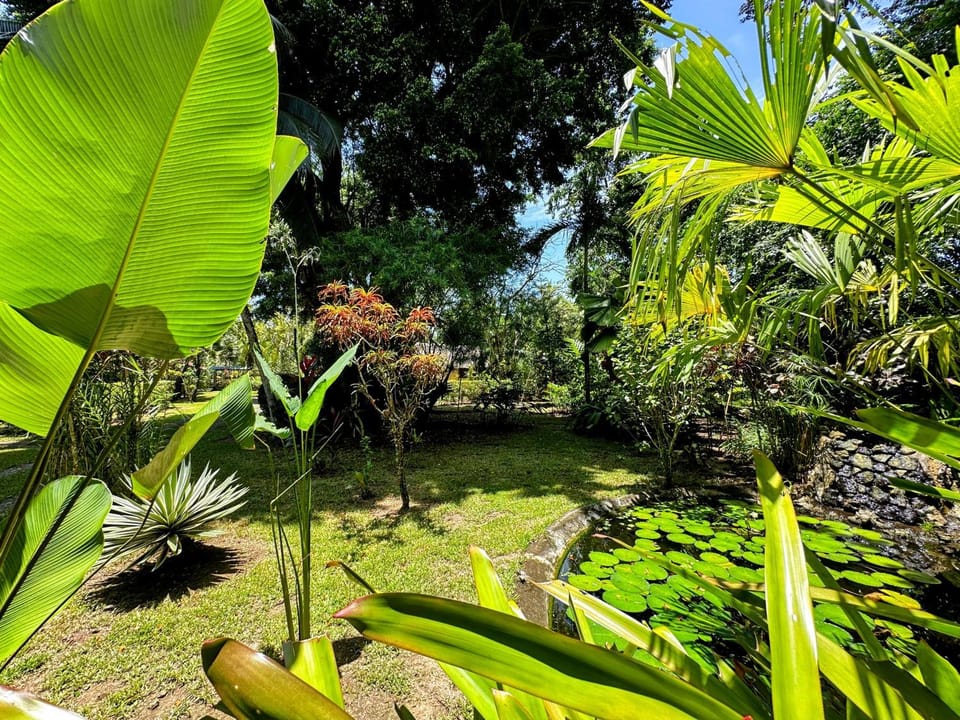 Alby Lodge Cahuita Nature lodge in Cahuita