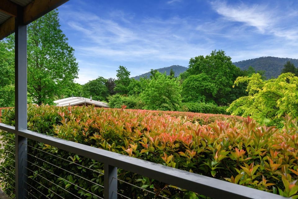 Natural landscape, Garden, Garden view, Mountain view