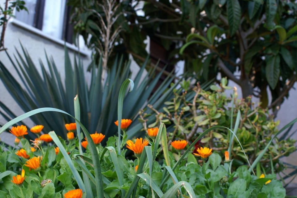 Location, children, Family