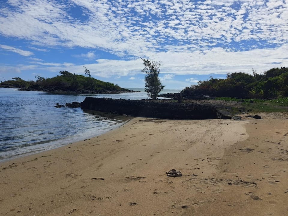 Natural landscape, Beach, Sea view