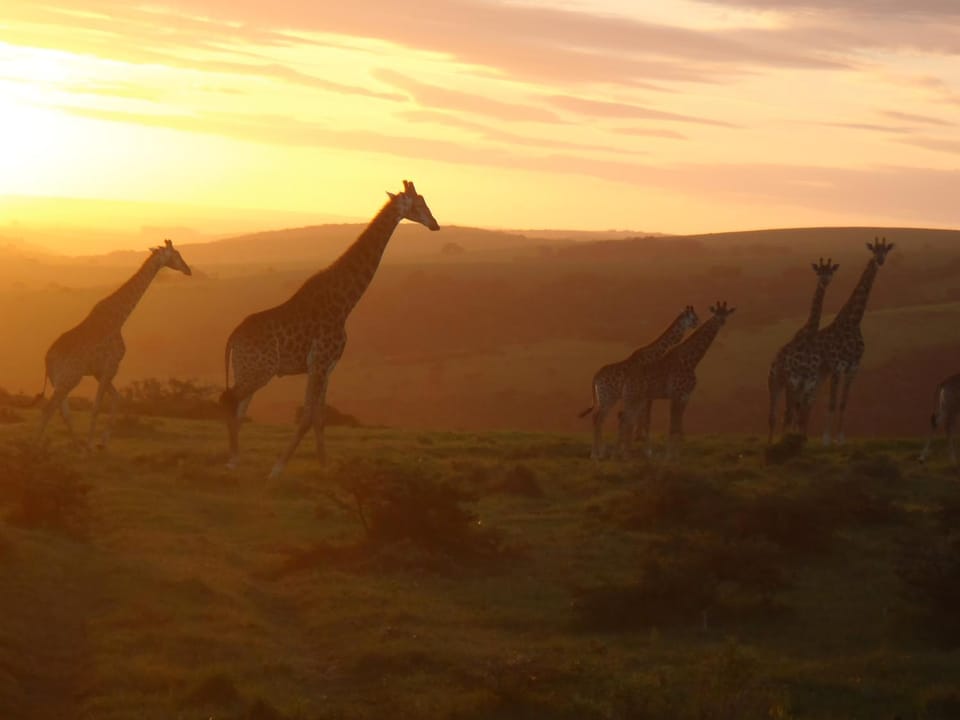 Kaba Cabins - Beautiful private farm stays Cabin in Eastern Cape