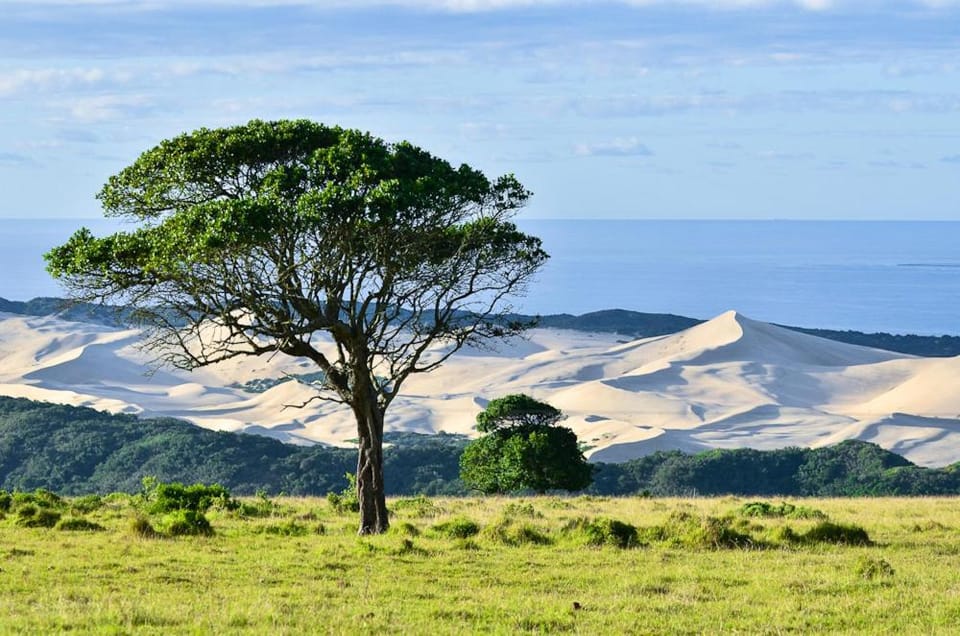 Kaba Cabins - Beautiful private farm stays Cabin in Eastern Cape