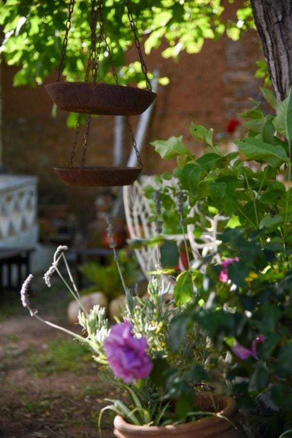 Patio, Balcony/Terrace
