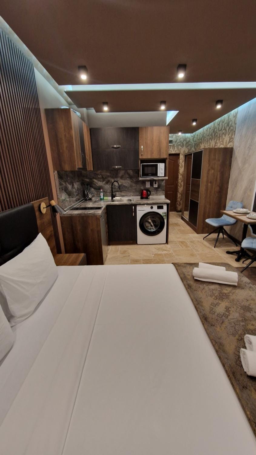 Bed, Kitchen or kitchenette, Living room, Photo of the whole room, Seating area, Bedroom, minibar, stove, towels, washing machine