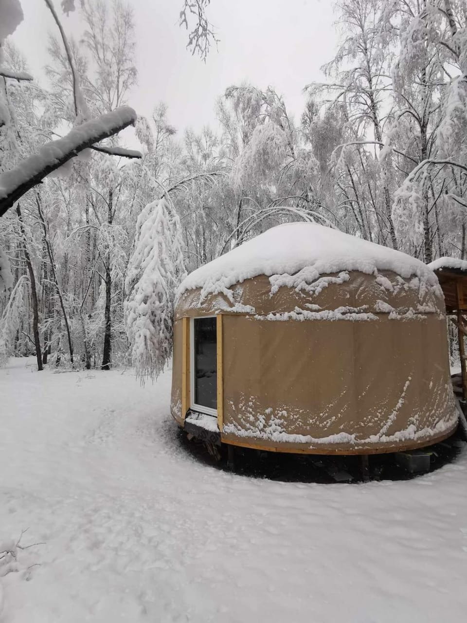 Biały Las Jurta House in Belarus