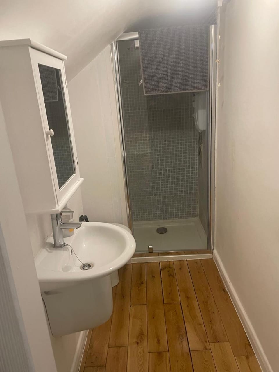 Shower, Toilet, Bathroom