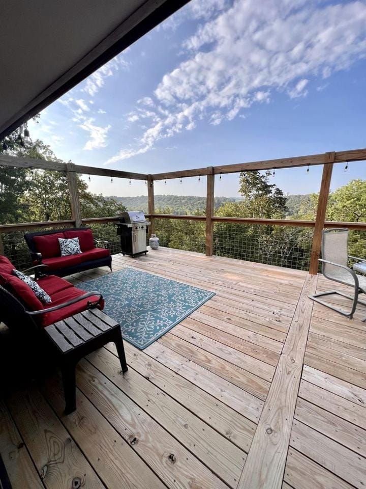 Cozy Cabin Rental near Table Rock Lake in the Ozark Mountains, Missouri Cabin in Hollister