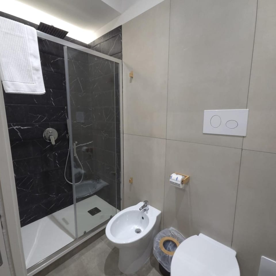 Shower, Toilet, Bathroom, bidet, towels