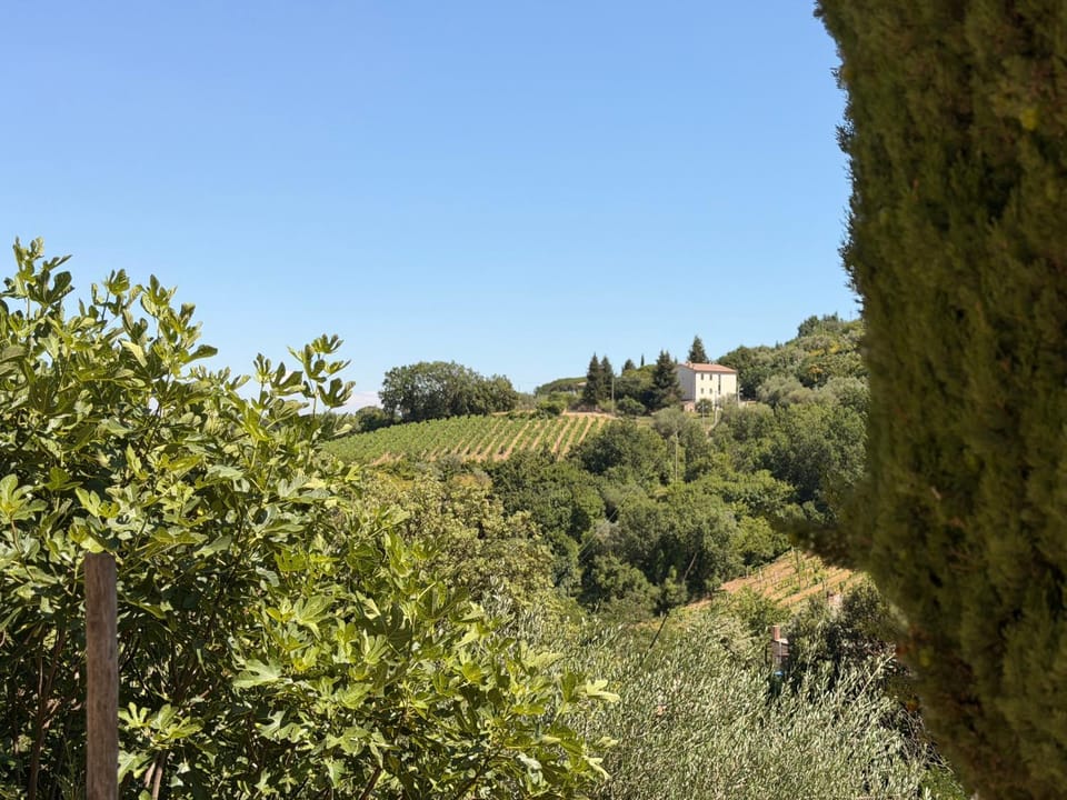 Nuovissimo Loft panoramico con giardino a Montalcino Apartment in Montalcino