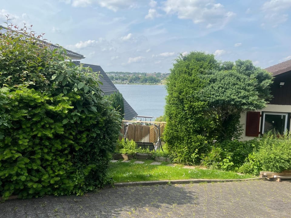 Lake view