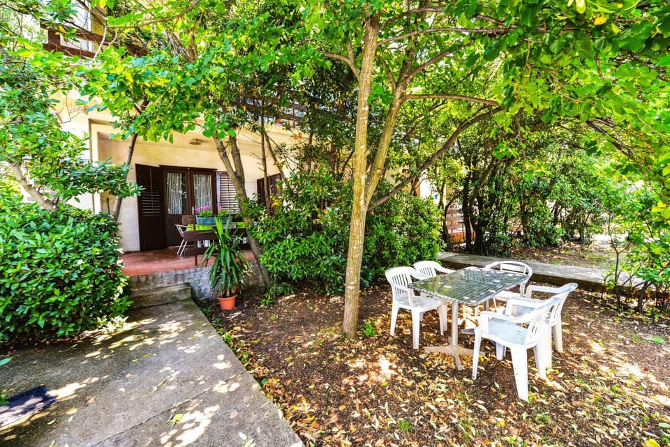 Patio, Day, Garden