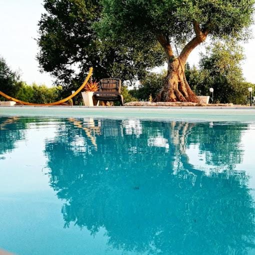 Day, Natural landscape, Pool view, Swimming pool, Swimming pool