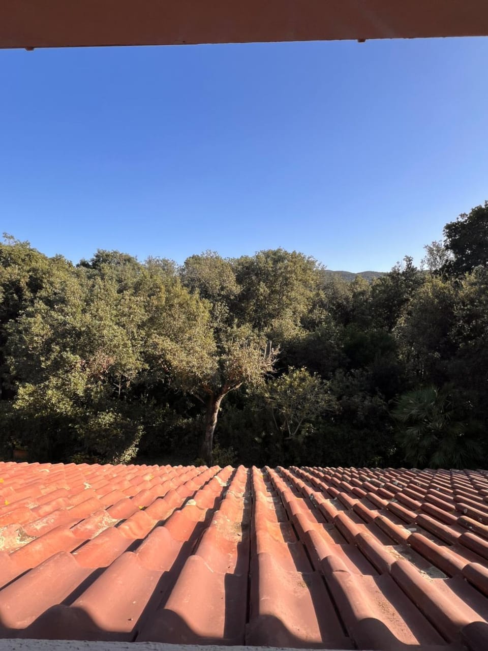 Le Mimose Apartment in Punta Ala