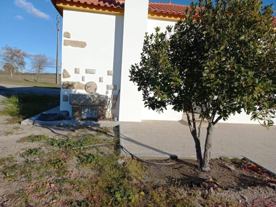 Day, Garden, Garden view