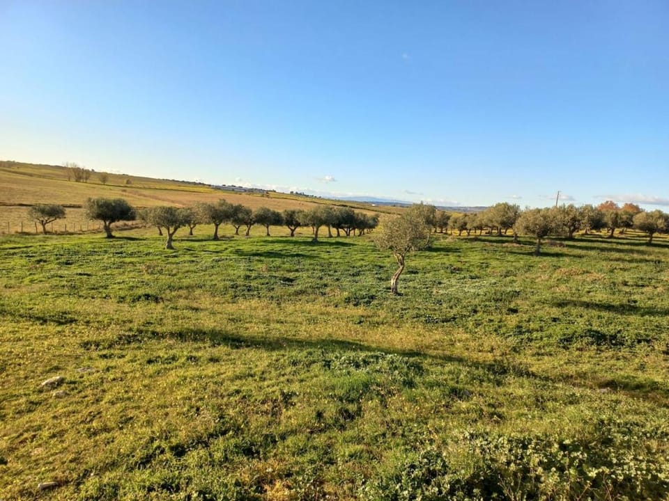 Spring, Day, Natural landscape