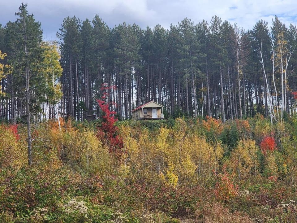 Natural landscape
