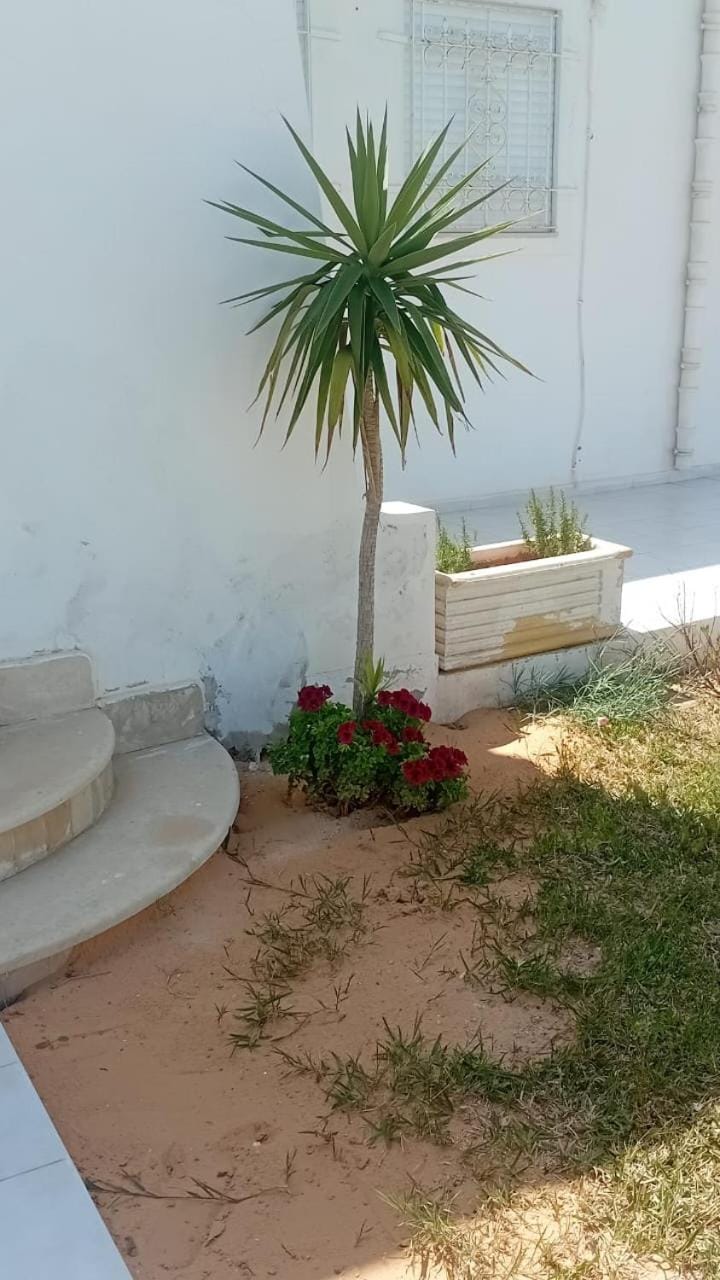 Villa privee Narjess grande piscine et jacuzzi House in Tunisia