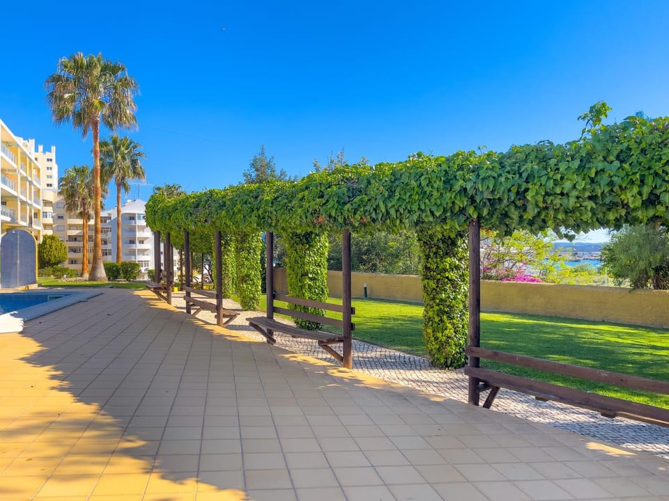 Garden, Swimming pool