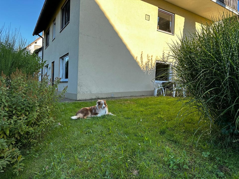 Property building, Day, Garden, Pets, Garden view