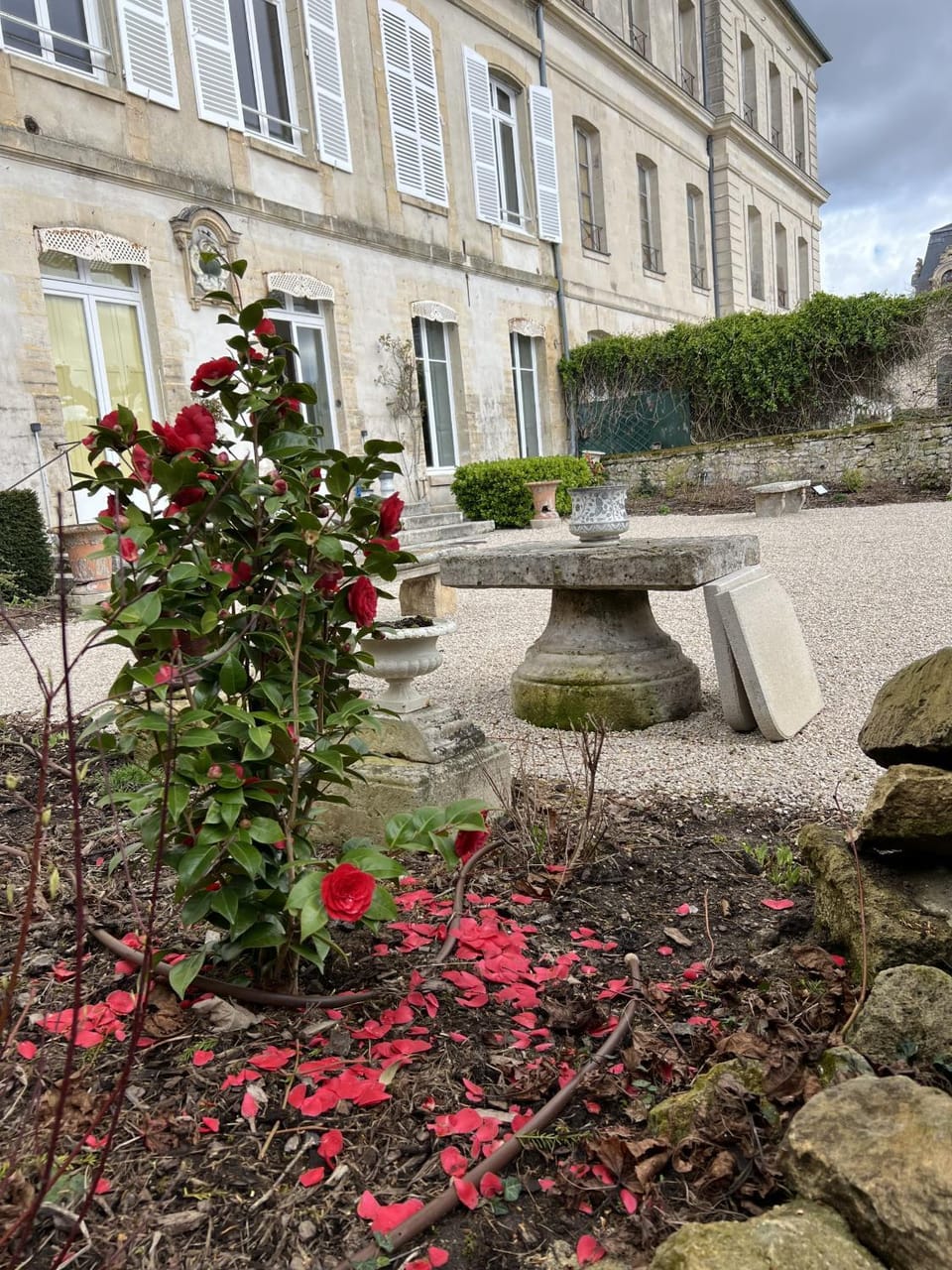 Le jardin de L'Hippodrome Apartment in Chantilly