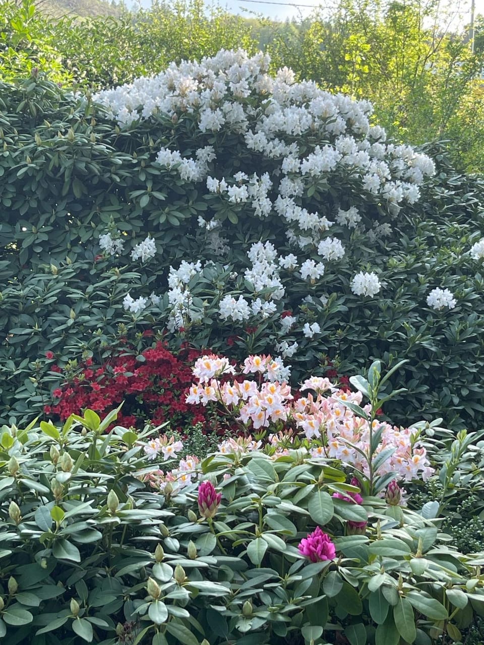 Garden, Garden view