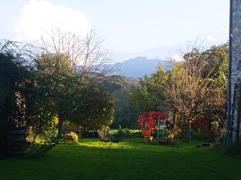 Autumn, Garden view, Mountain view