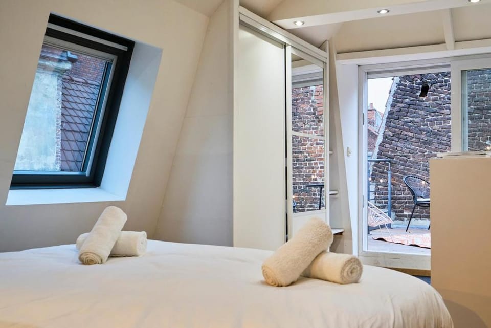 Duplex Rue Royale, rooftop, balnéo spa Apartment in Lille