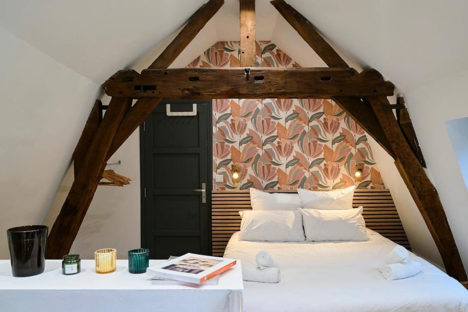 Duplex Rue Royale, rooftop, balnéo spa Apartment in Lille