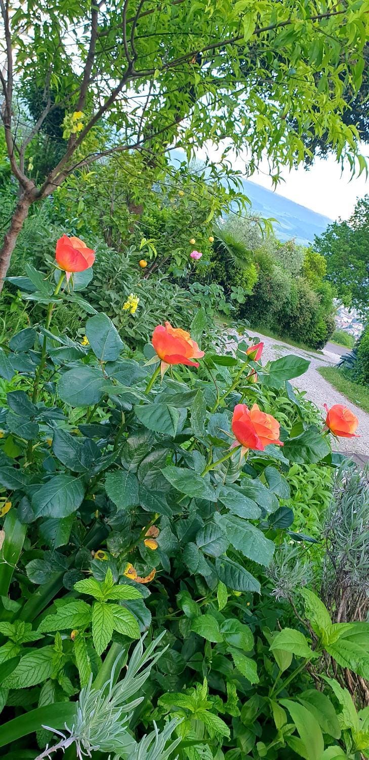 Holiday House Sant'Annunziata Apartment in Umbria