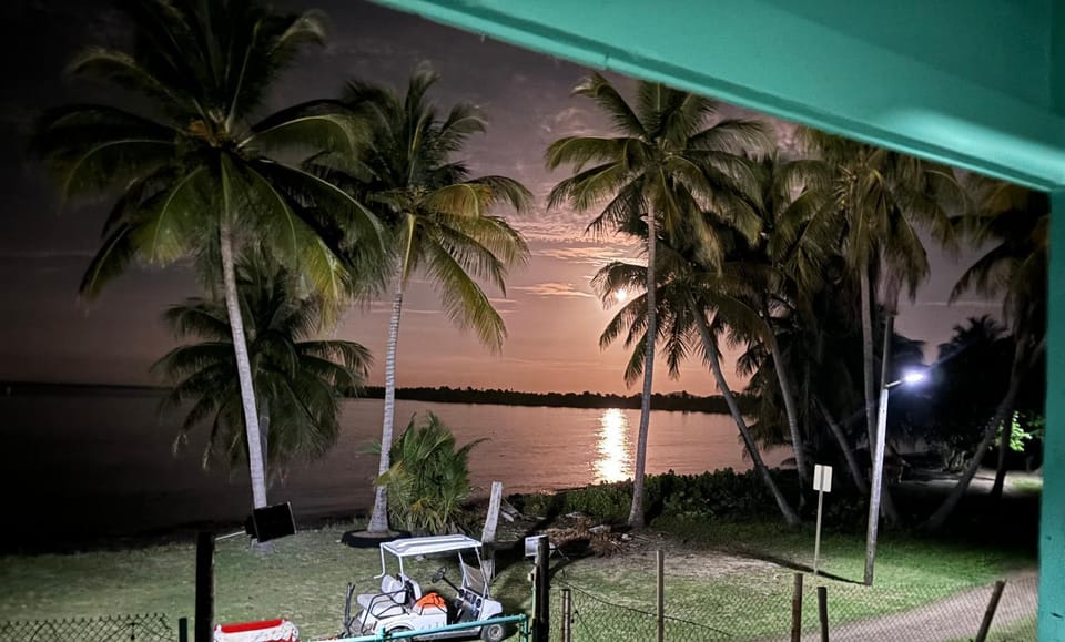 Night, Natural landscape, Beach, Sea view