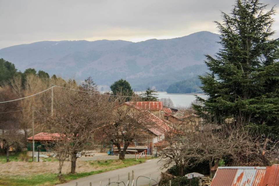 Lake view