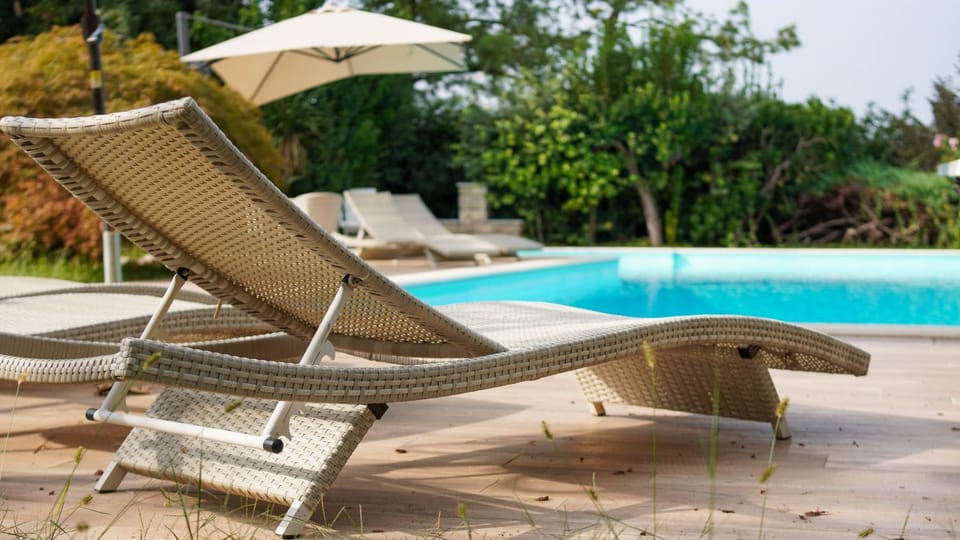 Patio, Day, Garden, Garden view, Pool view, Swimming pool, sunbed