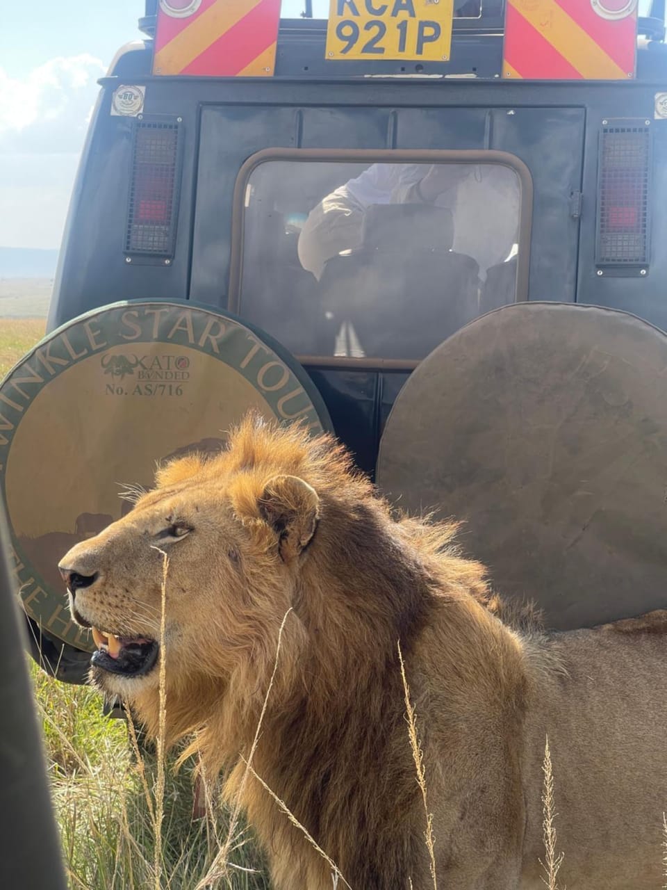 Mara Sidain lodge Bed and Breakfast in Kenya