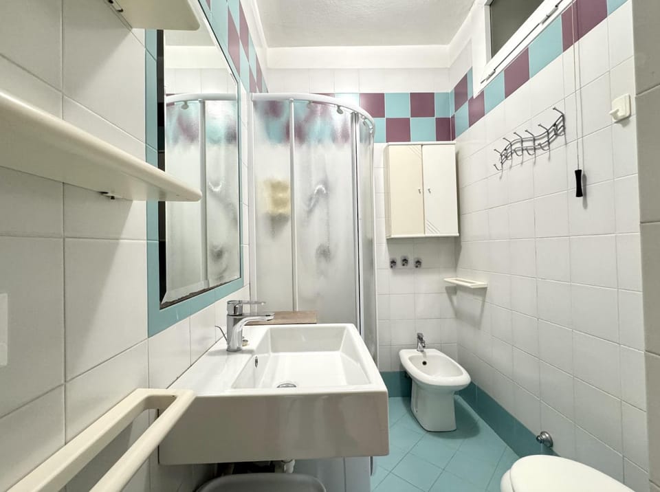 Shower, Toilet, Bathroom, bidet