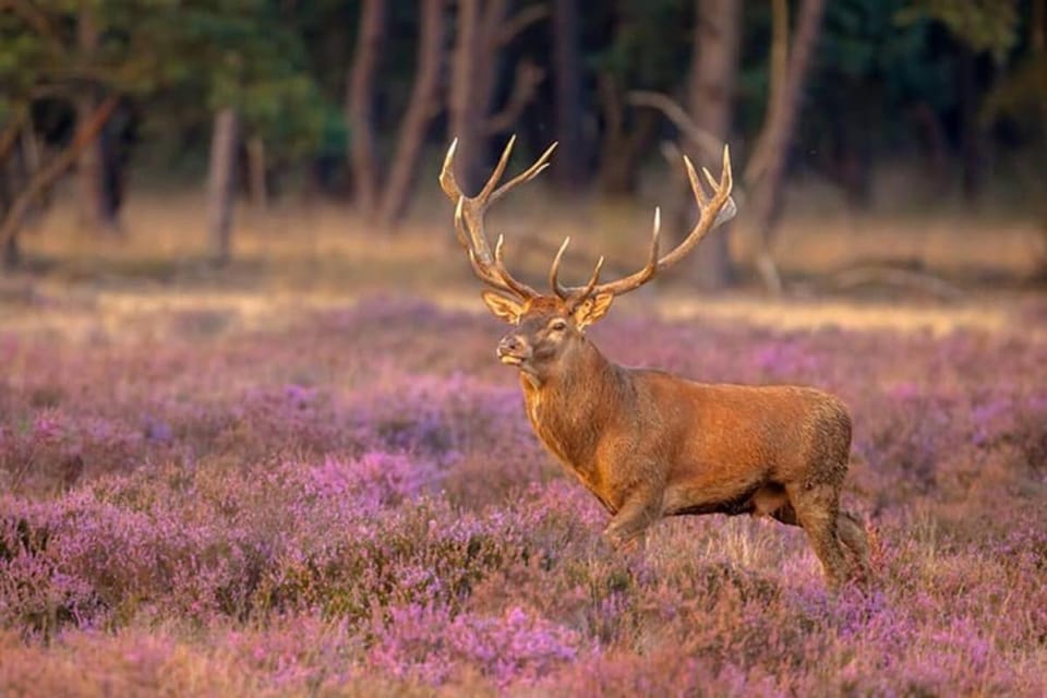 Natural landscape