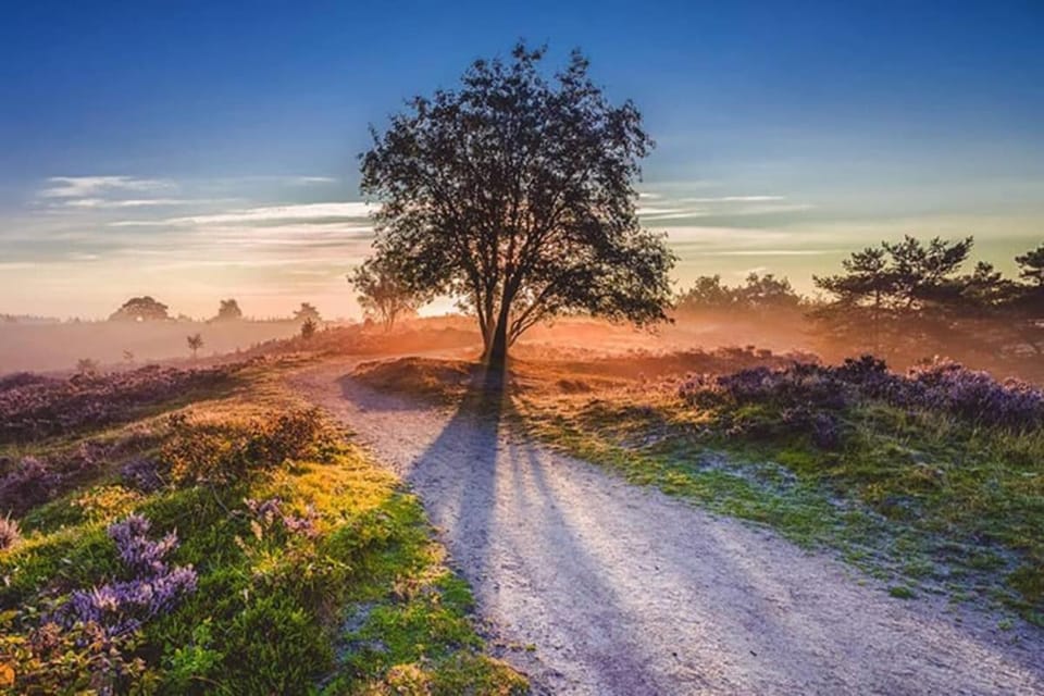 Natural landscape