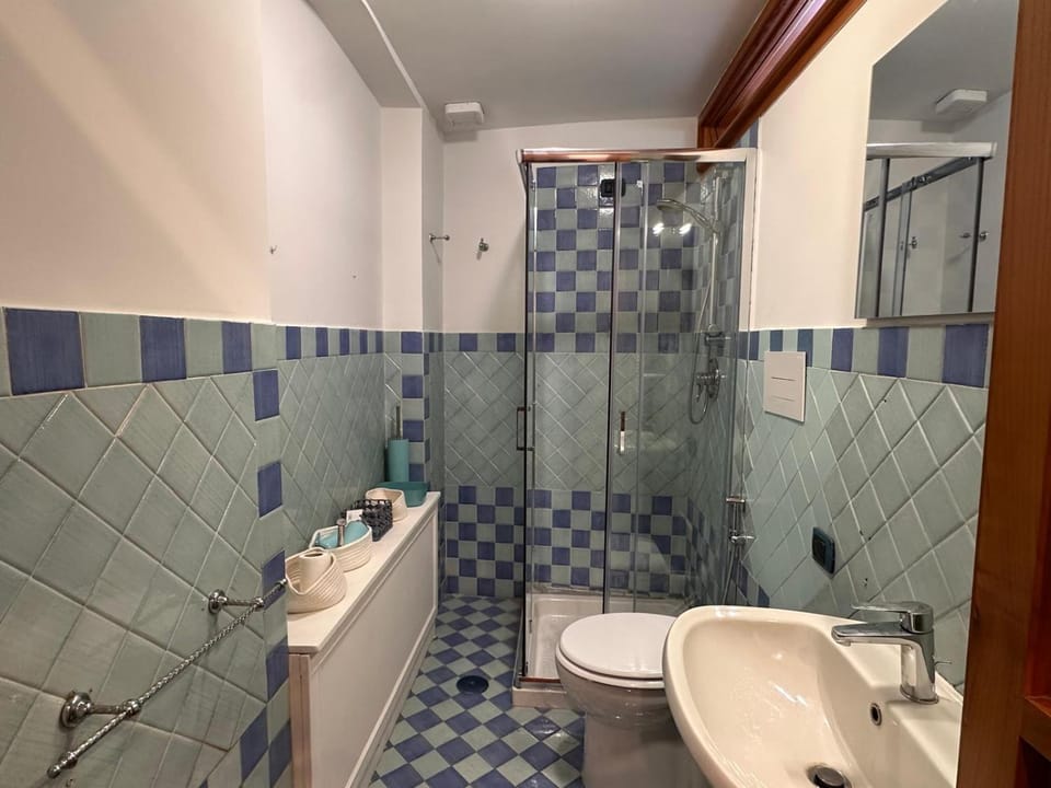 Shower, Toilet, Bathroom, bidet