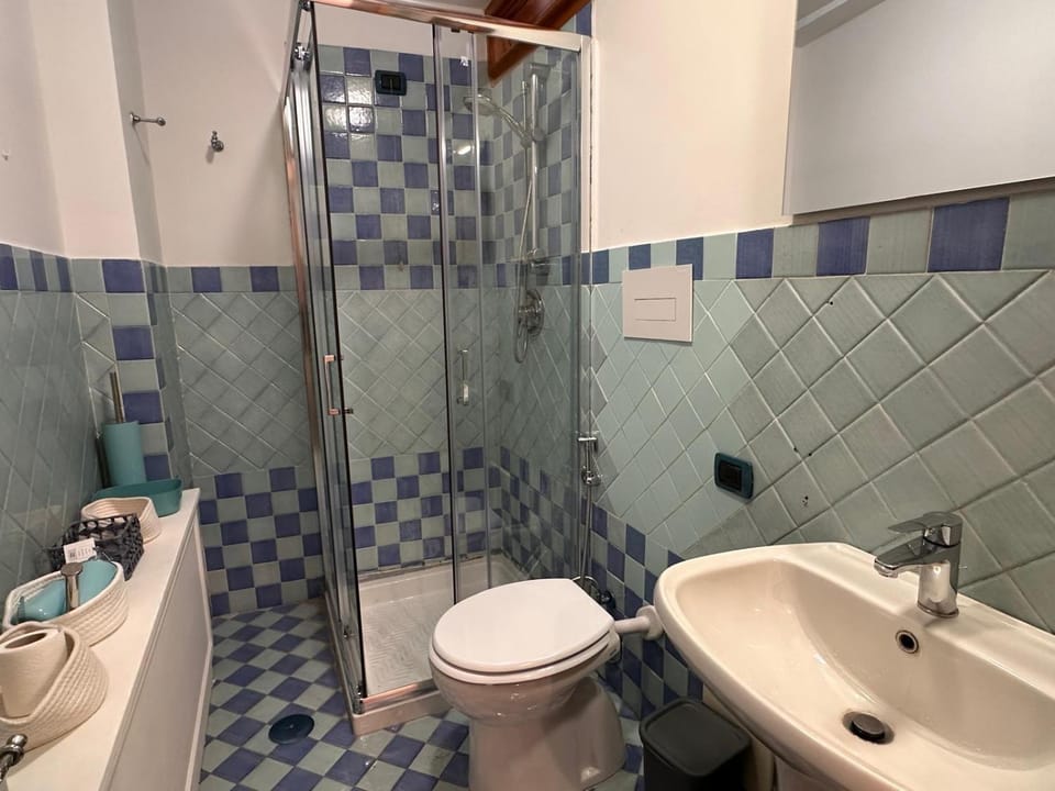 Shower, Toilet, Bathroom, bidet