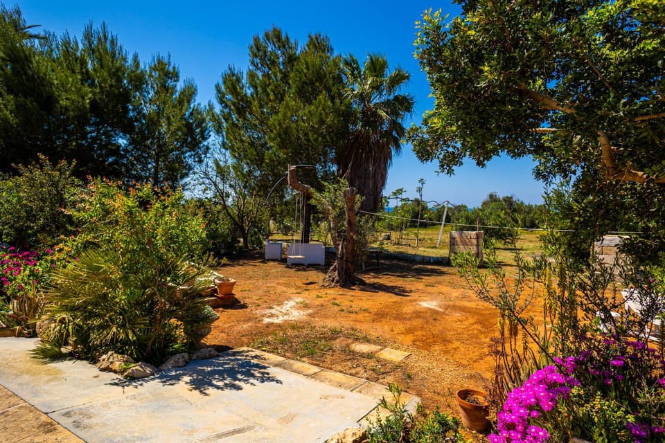 Spring, Day, Natural landscape, Garden, Garden view