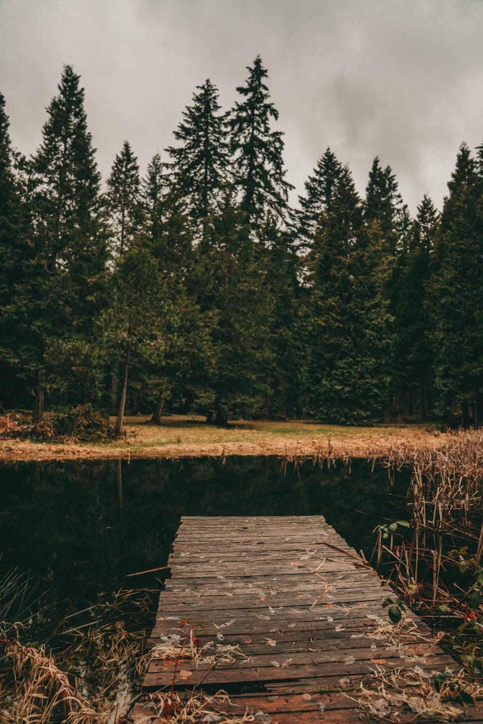 Natural landscape