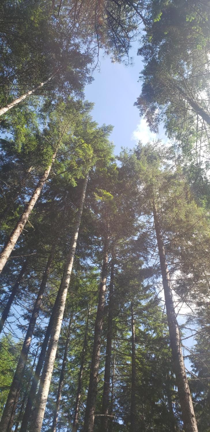 Natural landscape, Hiking